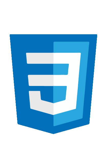 css3
